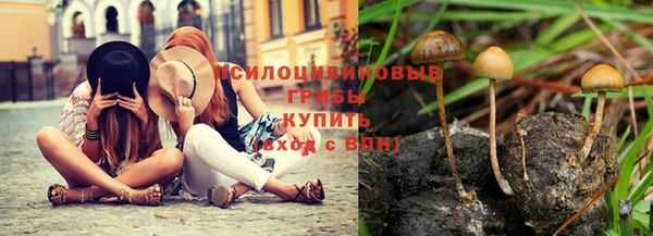 прущий лед Богданович
