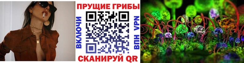 купить наркотики сайты  hydra онион  Галлюциногенные грибы Cubensis  Болхов 